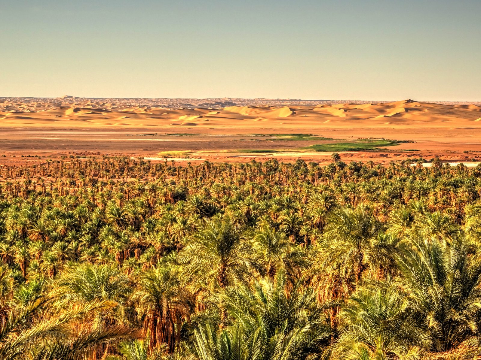 2-Day Desert Excursion Authentic