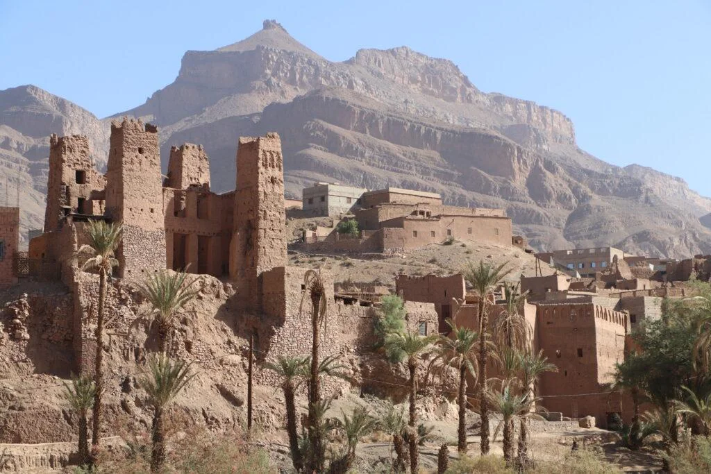 Draa Valley Palm Groves