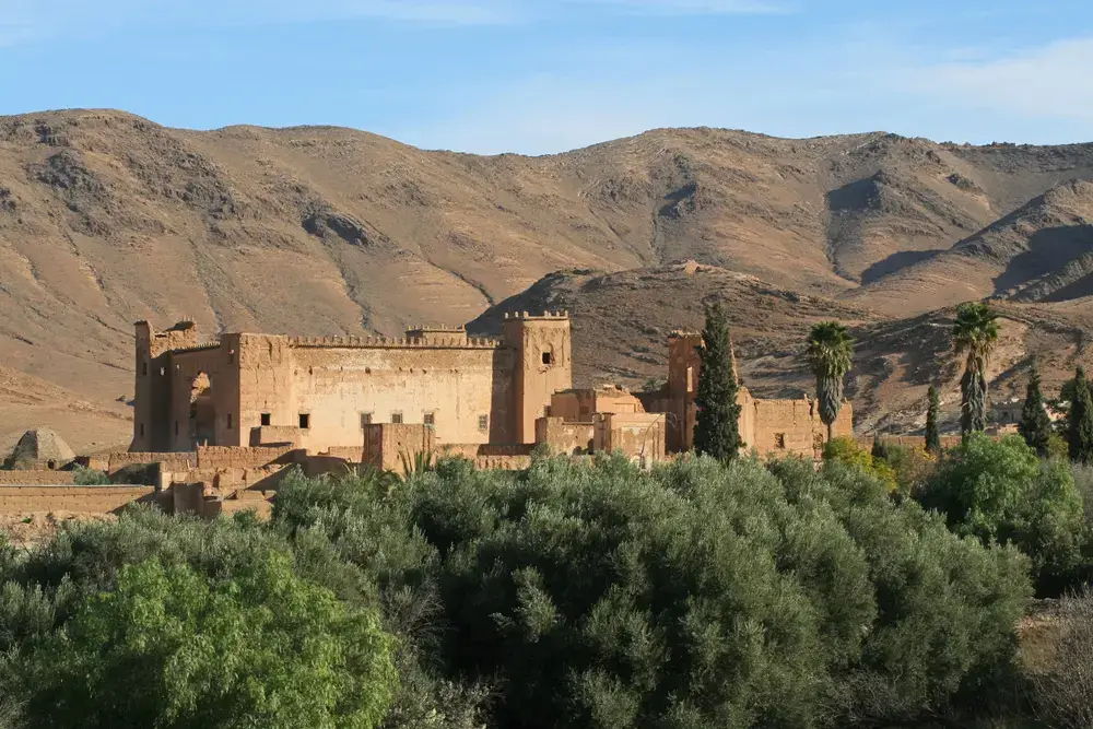 Taliouine - Saffron Capital of Morocco
