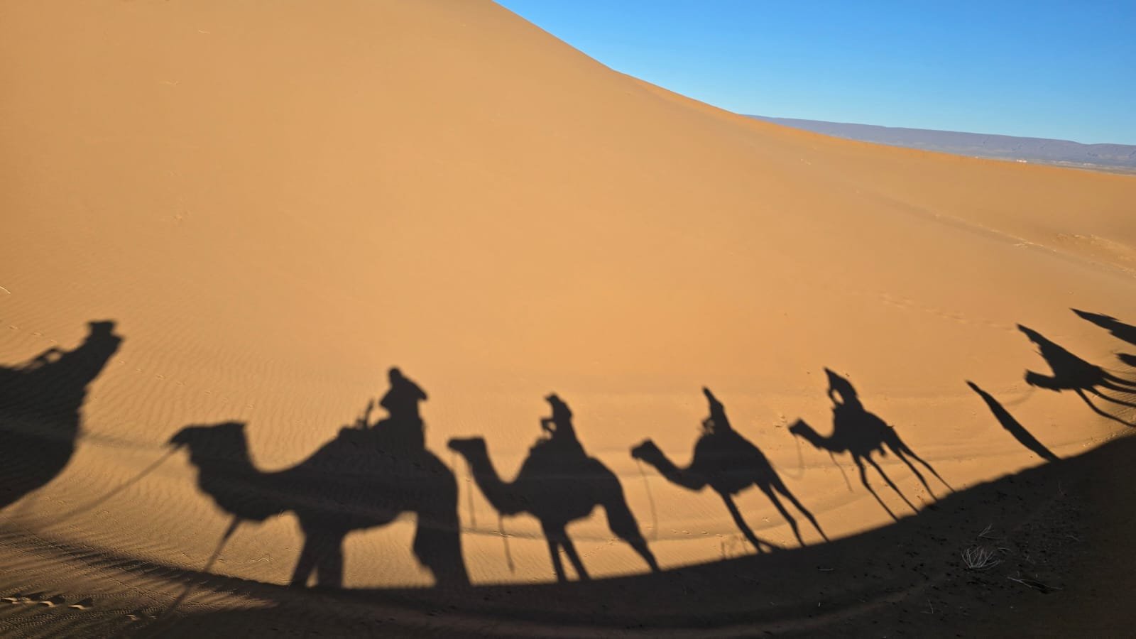 Camel Trekking in Sahara Desert