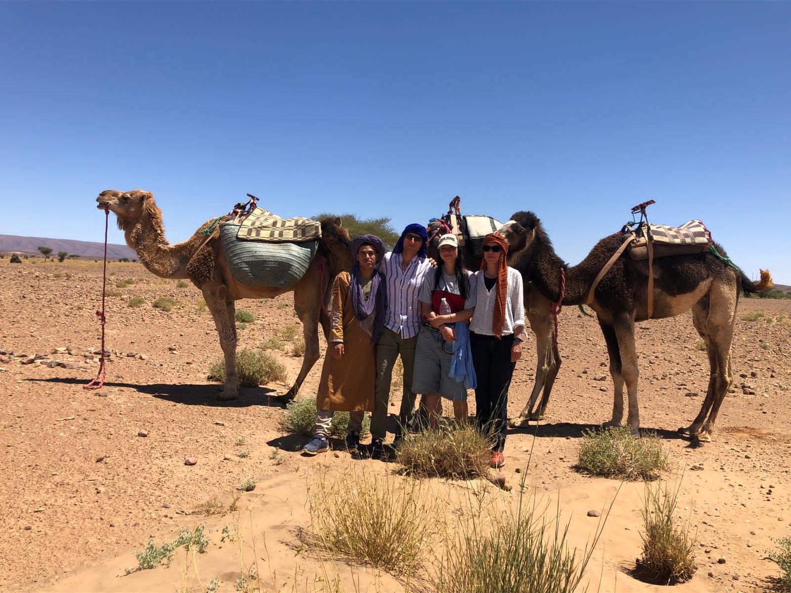 Dades Gorges - Moroccan Landscape