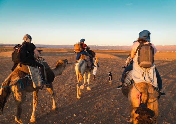 Traditional Desert Camp in Zagora