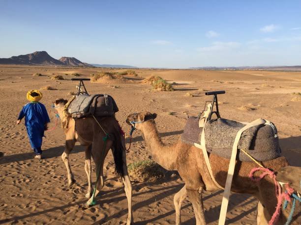 Atlas Mountains Landscape